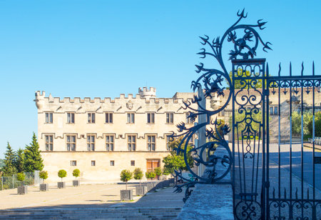 France, Avignon, Palace square, the Archbishops palace, also known as Petit Palaceのeditorial素材