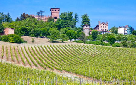 Gabiano Monferrato, Italy - May 7, 2011: View of the Castle, with the vineyards in the foregroundのeditorial素材