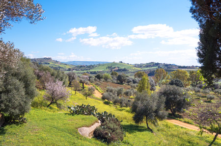 Italy, Sicily island, Agrigento, view on the valley from the ruins of the Greek wallsの写真素材