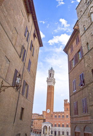 Italy,Tuscany,Siena,view of the Del Mancia towerのeditorial素材