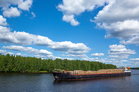 Russia, Karelia region, a cargo ship with big logs tree on the Svir river, near Mandrogi villageの写真素材