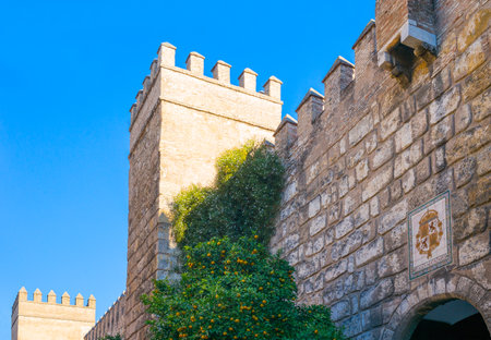 Spain, Andalusia, Seville,  the Reales Alcazares wallsのeditorial素材