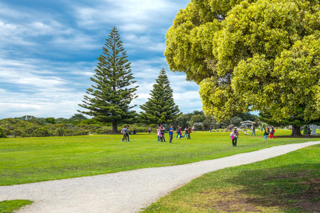 Apollo, Australia - October 10, 2014: Great Ocean Road, a park in Apollo Bayのeditorial素材