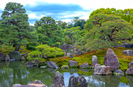 Japan, Kyoto, beautiful trees  and pond in the park of the Nijo castleのeditorial素材