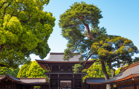 Japan, Tokyo, The wooden main entrance gate of the Meiji Juku templeのeditorial素材