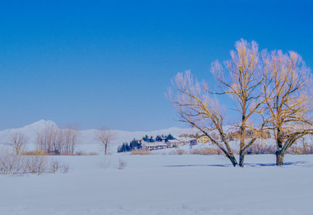 Italy, Gran Sasso National Park, Calascio,の写真素材