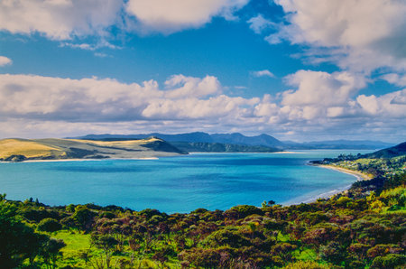 New Zealand, Hokianga Harbor (west coast of the north Island), a sacred place for Maori cultureの写真素材