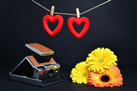 vintage camera and yellow and pink daisies, on a black background and hanging hearts with...