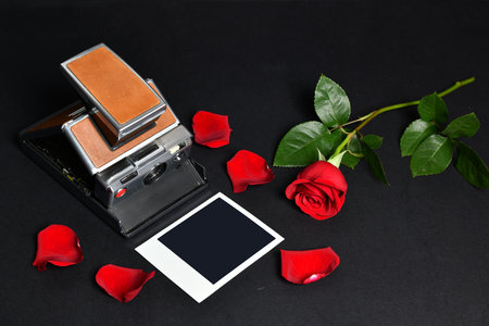 Vintage camera and red rose with petals on a black background gift of loveの写真素材
