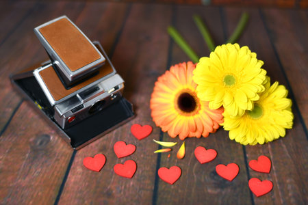 vintage camera with yellow and pink daisies, petals, hearts on brown wooden slatsの写真素材