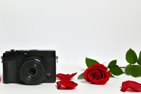 camera with lens and red rose with petals on white backgroundの写真素材