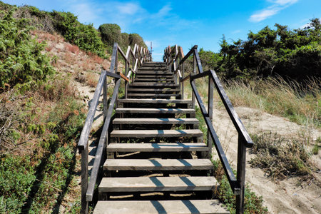 wooden staircase on the beach, among the sand dunesの写真素材