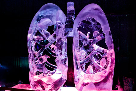 February 2013 - Harbin, China - Beautiful ice statues at the Ice Lantern Festival in Zhaolin Parkのeditorial素材