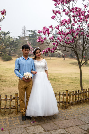 April 2016 - Qingdao, China - Chinese couple doing wedding pictures in Zhongshan park During The Cherry blossoms festival That happens every year in Spring.のeditorial素材