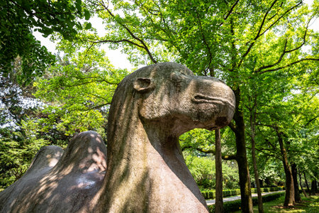 Statue of a camel in the sacred way in Ming Xiaoling Mausoleum, located on mount Zijin, Nanjing, Jiangsu Province, China. Ming Xiaoling Mausoleum is UNESCO World Heritage Siteのeditorial素材