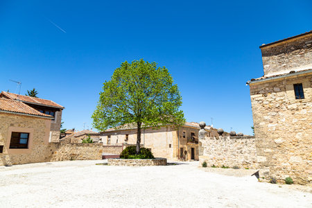 Pedraza, Castilla Y Leon, Spain: a lonely tree in the Plaza del Ganado. Pedraza is one of the best preserved medieval villages of Spain, not far from Segoviaの写真素材