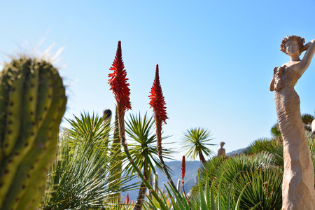 cactus and aloe flowers with statues-Eze village-cote d'azurの写真素材