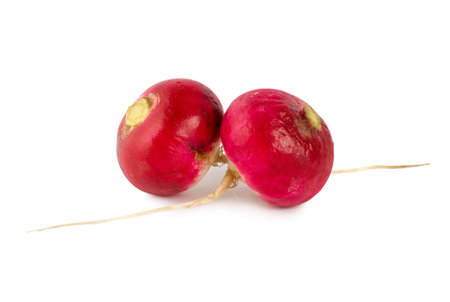 Fresh radishes isolated on a white background の写真素材