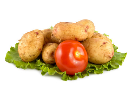 Fresh vegetables isolated on white backgroundの写真素材