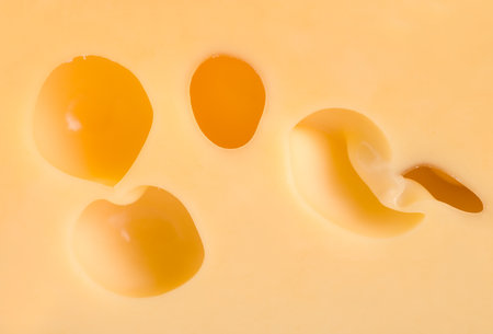 Cheese backgroundの写真素材