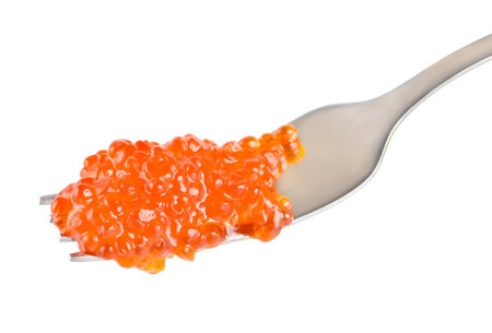 Red caviar on a forkの写真素材