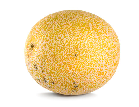 Cantaloupeの写真素材