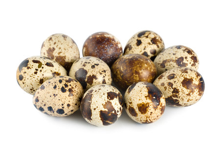 Quail eggsの写真素材