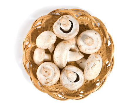 Mushrooms in a wooden basket isolated on a white backgroundの写真素材