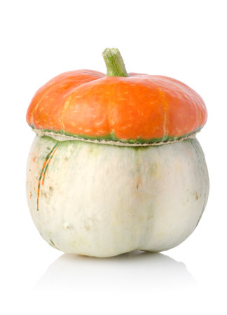 Ripe pumpkinの写真素材