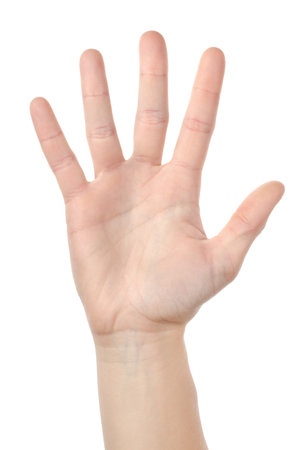 Human hand isolatedの写真素材