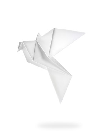 Bird paperの写真素材