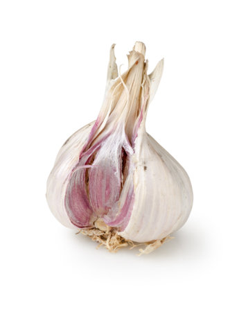 Garlic isolated on a whiteの写真素材