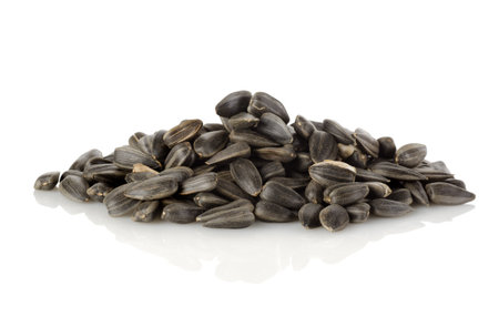 Sunflower seedsの写真素材