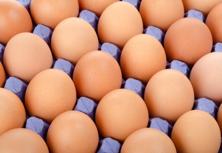 Tray of eggs in cardboard packing