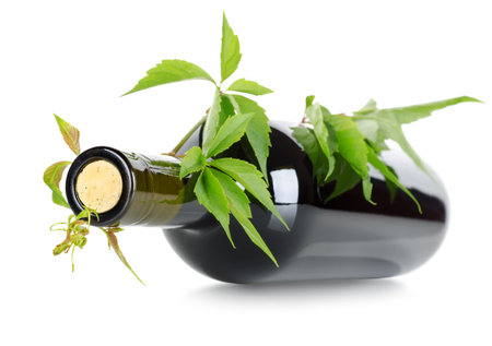 Wine and vineの写真素材