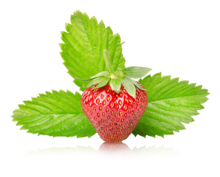 Ripe strawberries with leaves isolatedの写真素材