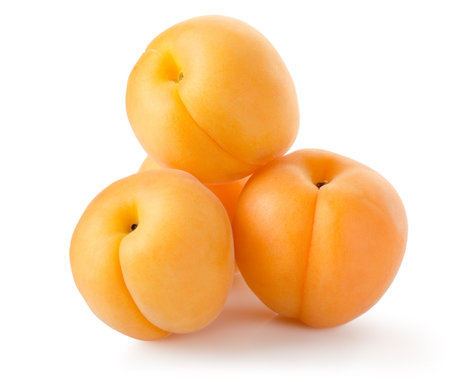 Four apricotsの写真素材