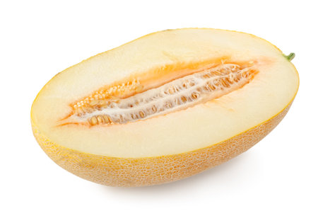 Cantaloupe isolatedの写真素材