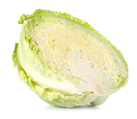 Cross section of savoy cabbageの写真素材