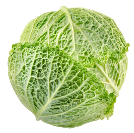 Cabbage top viewの写真素材