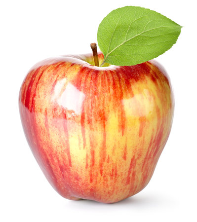 Striped red appleの写真素材