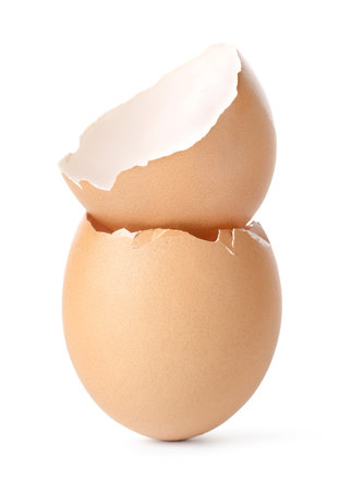 Empty egg shellの写真素材