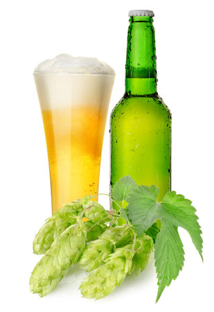Beer and hopsの写真素材