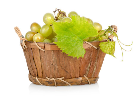 Grapes in a basket isolatedの写真素材