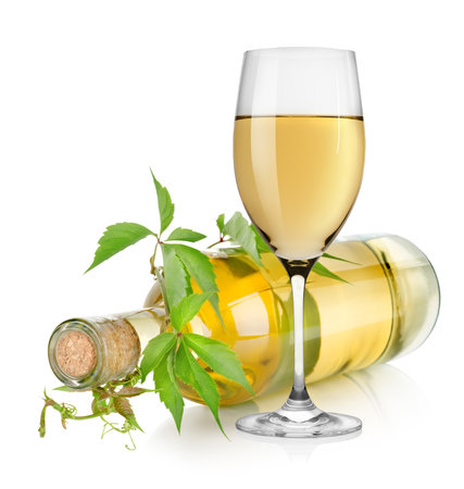 White wine glass and vineの写真素材