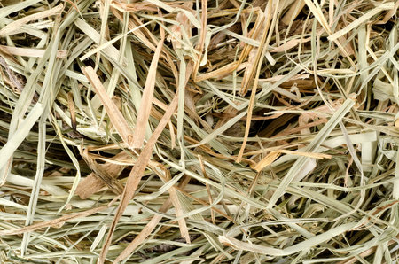 Background of  meadow hayの写真素材