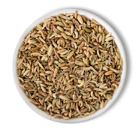 Fennel  in plate isolatedの写真素材