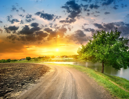 Country road near the lakeの写真素材