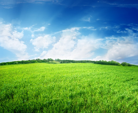Green field and blue sky lit by the sunの写真素材