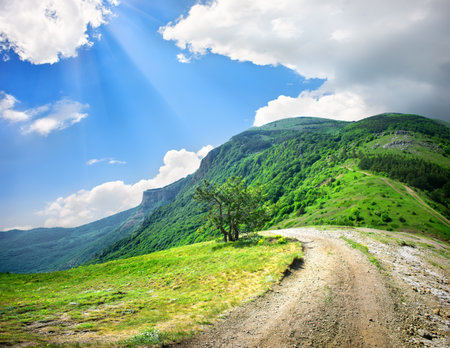Country road in mountainsの写真素材